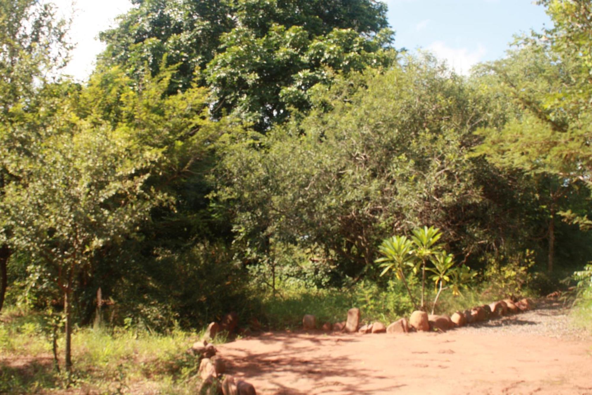 Copacopa Lodge And Conference Centre Punda Maria Exterior photo